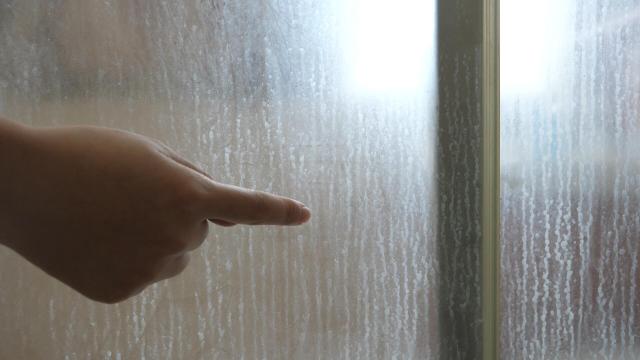 晒晒我“逢人就炫耀”的5个家居小物,便宜,却能解决家居痛点!