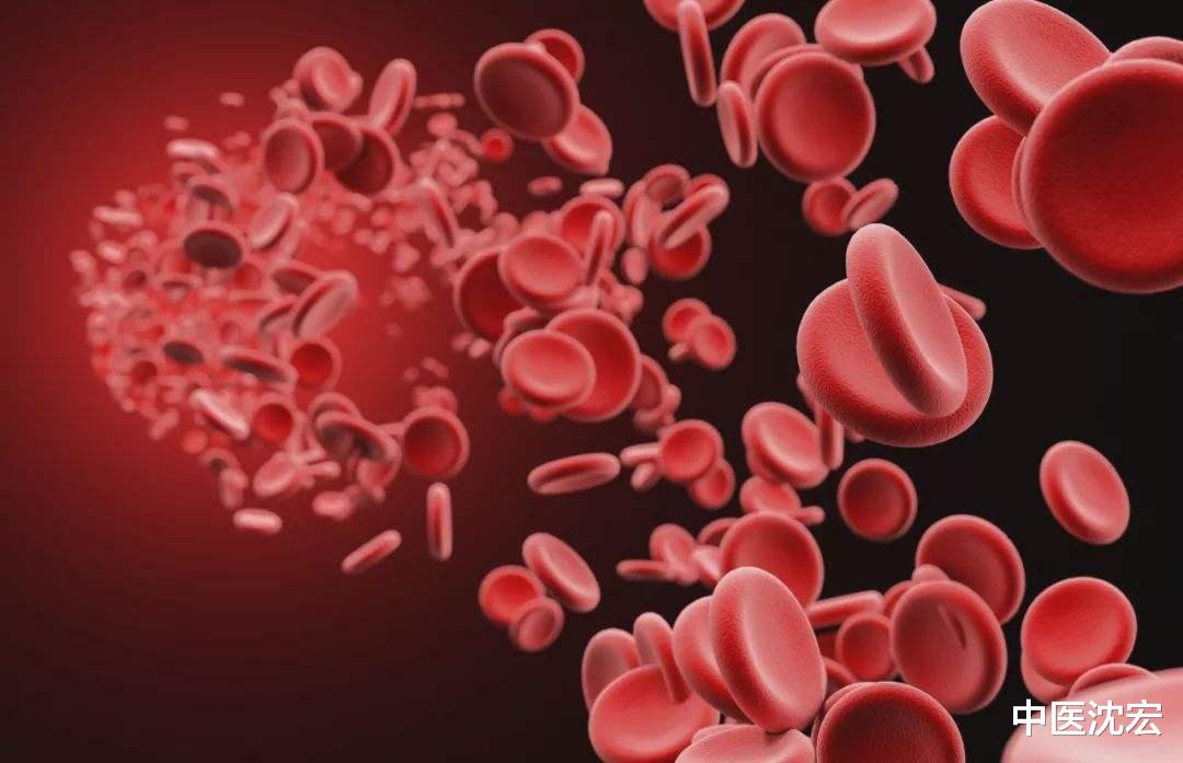 大脑|高血脂,高血压,血管瘀堵,一个方子化瘀通血管,横扫血管垃圾