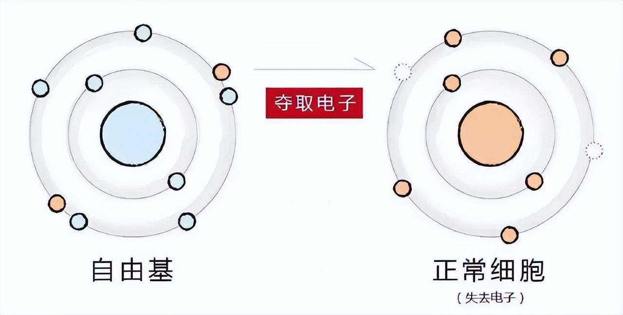 人类不可以永生吗?谷歌首席未来学家:人类将在2045年实现永生