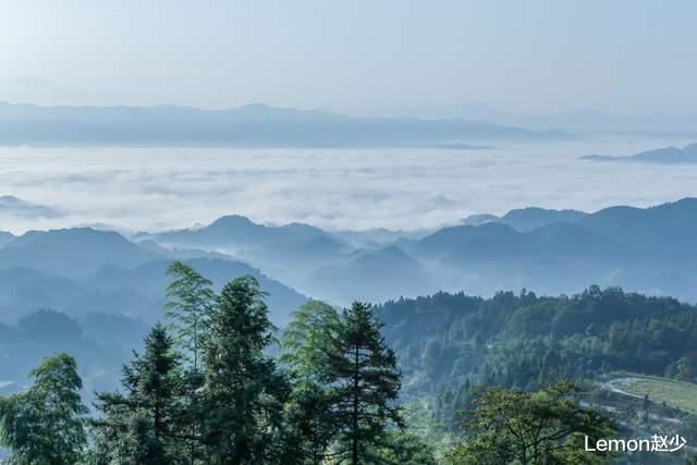 湖南|湖南又一景点走红，人称“天意木国”，门票免费却少有人知