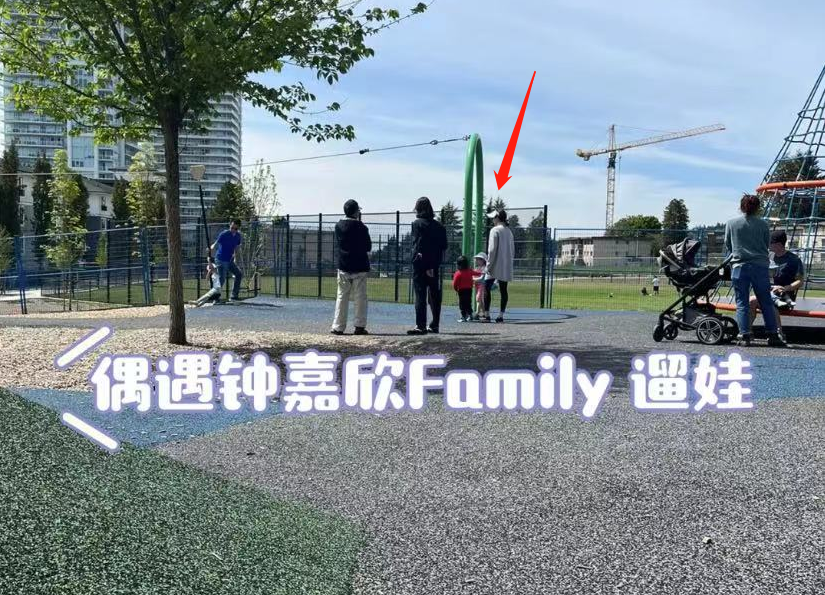 赵丽颖|钟嘉欣挺三胎孕肚遛娃，被赞人靓性格好，与丈夫定居国外生活惬意