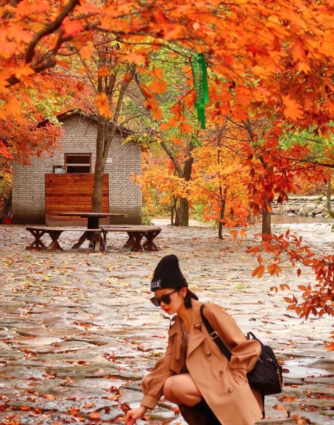 本溪|挖到秋色绝美东北小城,枫叶秒杀京都,还有复古火车和温泉