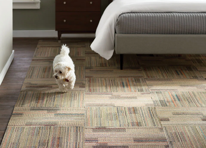 如何为您的房间选择最好的地毯瓷砖