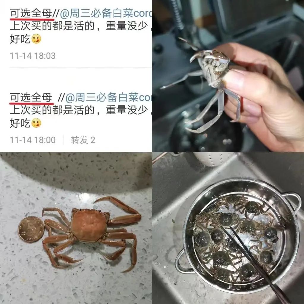 中国人，被阳澄湖大闸蟹骗了30年