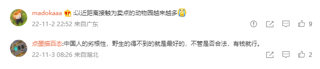 动保也崇洋?保护小熊猫 欧美更先进 中国靠钱买:吹捧者惨被打脸