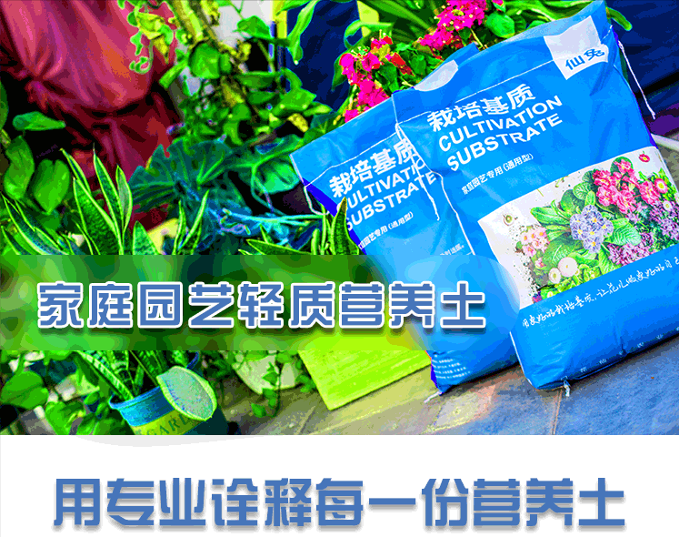 买了顶楼,带32㎡露台的房子,花2.3万改造成小花园,太舒服了