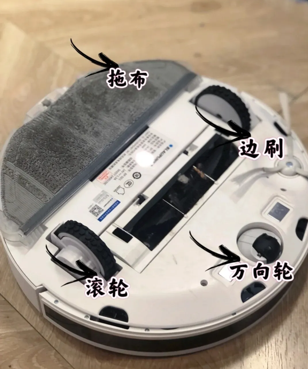 闺蜜强推6个正在走红的小家电，使了半年多，发现越用越上瘾