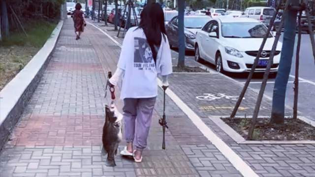 |女子罕见钓获野生大鳜鱼，钓点连老公都不告诉，原因让人哭笑不得