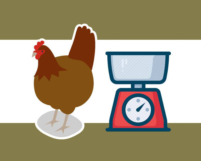 痛风|肉类嘌呤高，痛风患者是否需要忌口？医生：这4种肉可以适当吃点