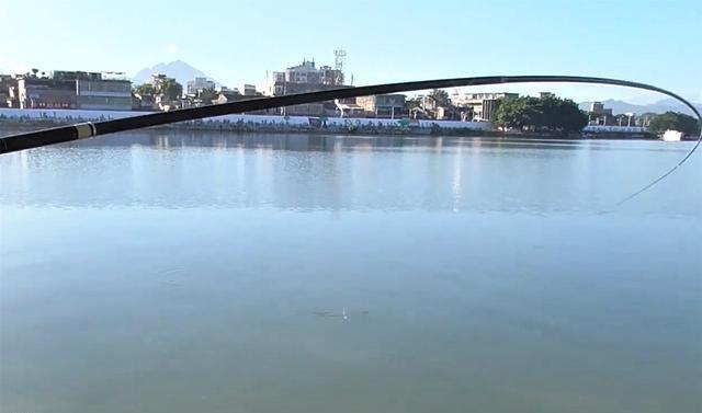 空军|初秋高温鱼难钓?从这三个方面作出改变,渔获一样满满