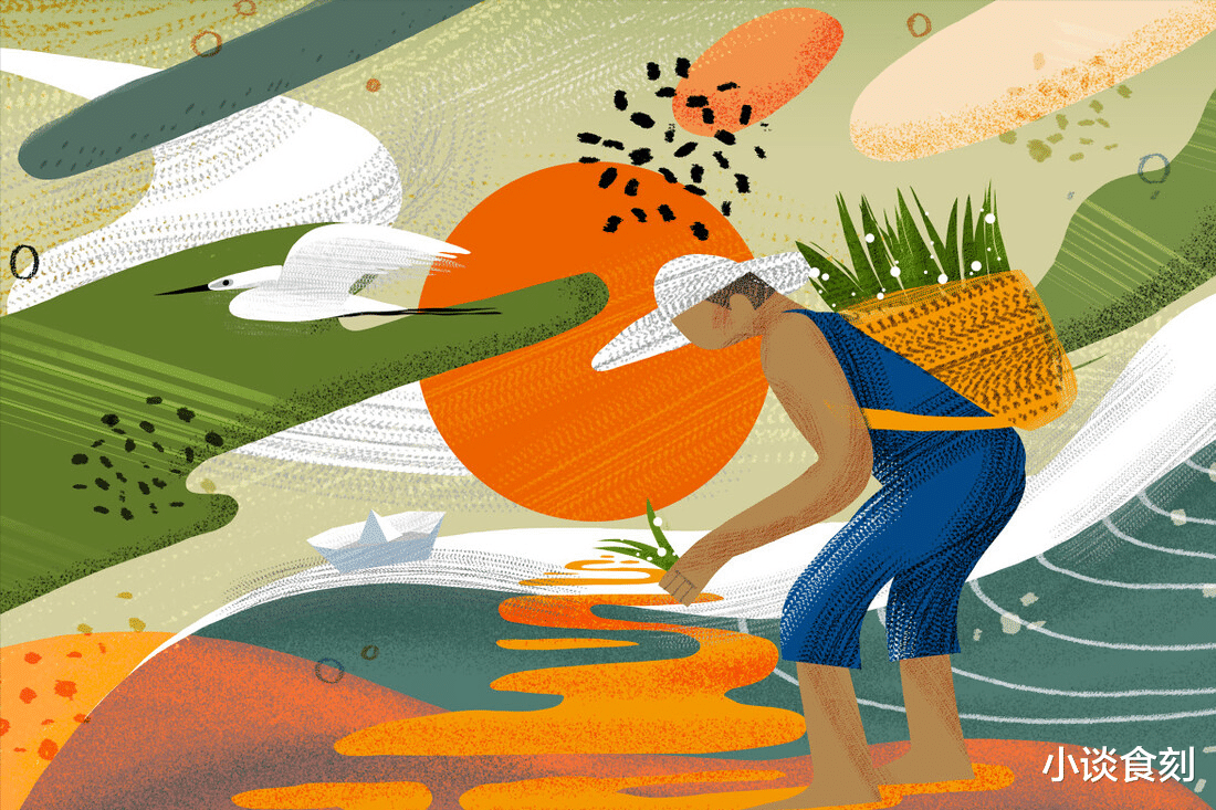 “芒种吃3宝,仲夏无病扰”,五月初八芒种,“3宝”怎么吃?