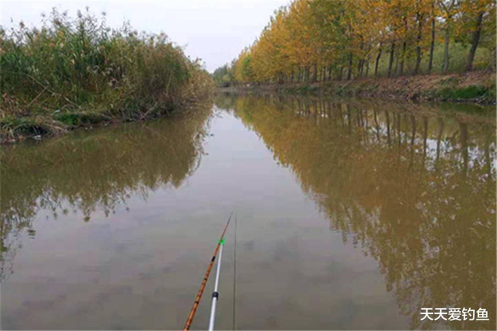 秋分|秋分后野钓,3种天气不宜出门,鱼不开口还浮头,空军几率飙升