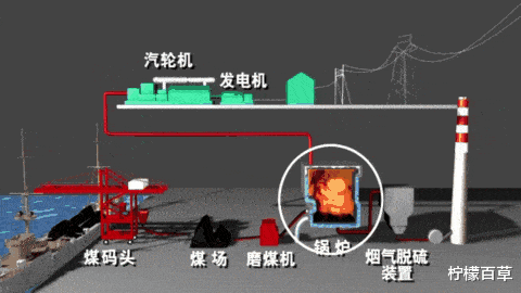 100多米厚的煤层是怎么形成的?远古地球上存在这么多植物吗?