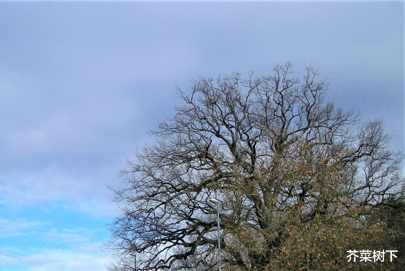 |干一行爱一行，可能吗？