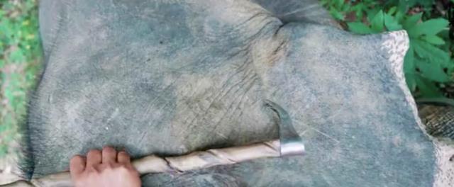 一头苦力大象的反抗
