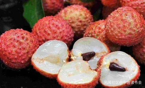 一年狂吃300万吨,最贵55万一颗:中国荔枝到底哪家强?