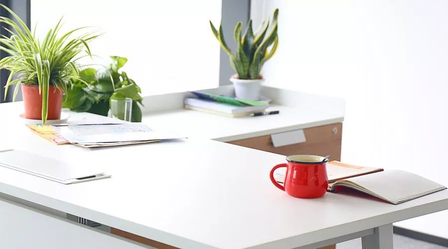 |单位上班25条建议