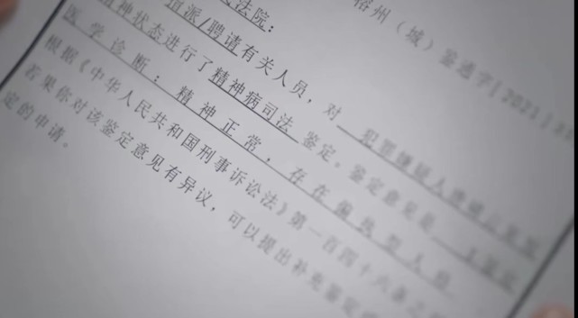 吴谢宇|?《底线》：吴谢宇弑母案背后，天之骄子的成长经历，让人不寒而栗！