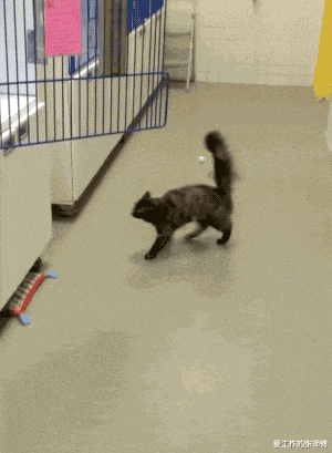 商丘|“华为1996年的招聘广告，大家自己感受一下！”哈哈哈哈人才啊