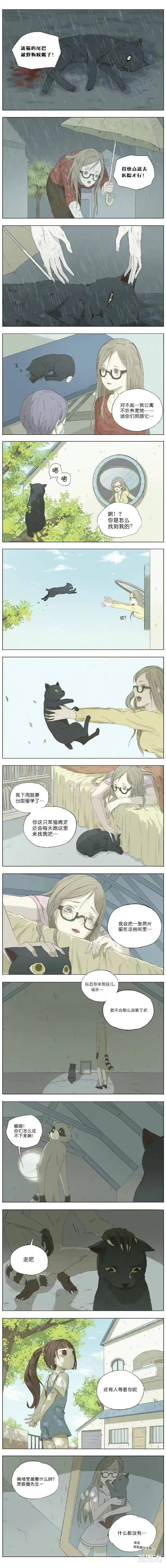 女孩|「短篇漫画」猫的报恩