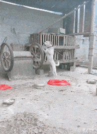 南瓜|“女朋友在公司睡太多,回家都不睡觉了...干中介的心酸泪”