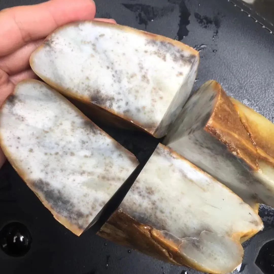 植树节|什么皮色下出好肉？你知道吗？