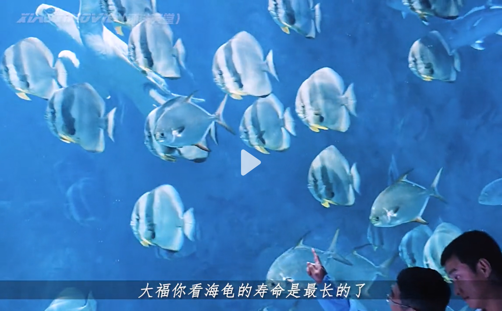 黄贯中|泪目！癌症晚期父亲用剩下的日子教自闭症儿子独立生活