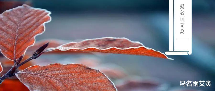 补钙|年龄大的人体内钙质流失,如何合理补回?教你补钙奇穴