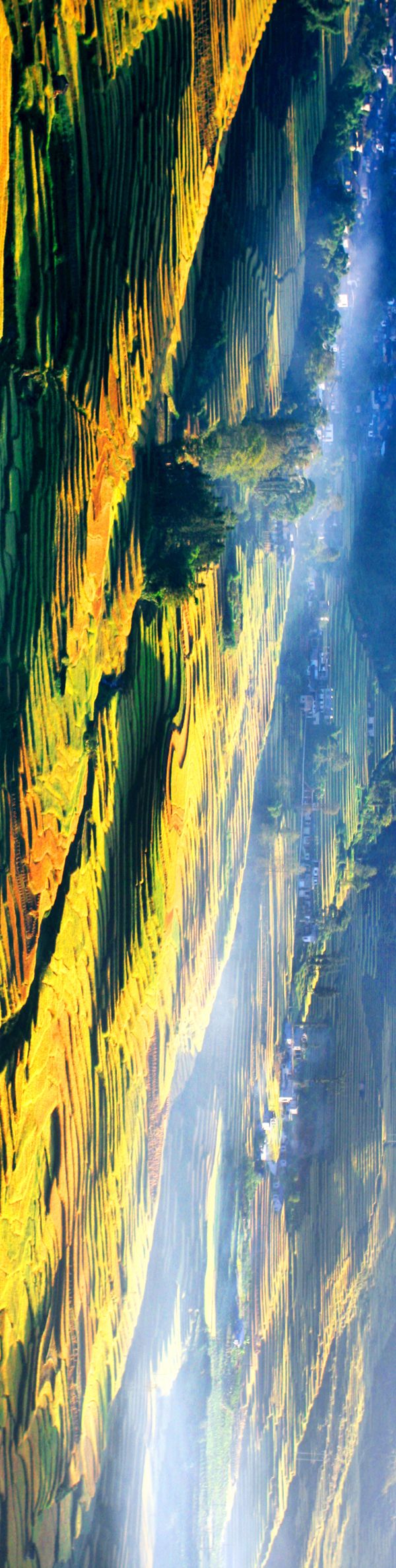 梯田|穿行于红河沿岸：寻秋韵、品秋色、享秋乐