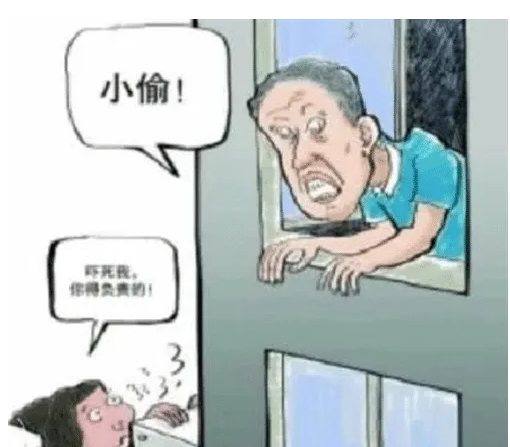 “他不来我家偷东西就不会坠楼死亡,凭什么要赔28万?”