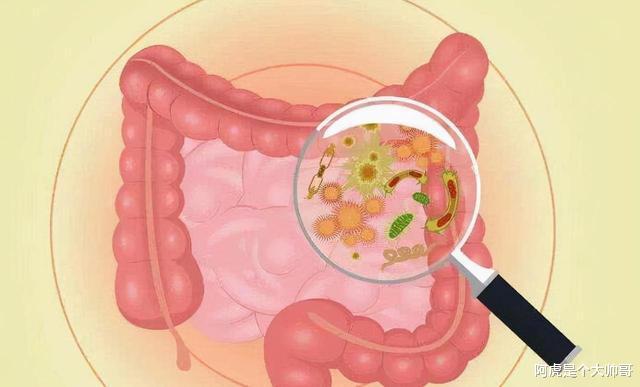 经络|为什么人类的排泄物都是臭的?吃下去对身体有害吗?有人曾试过