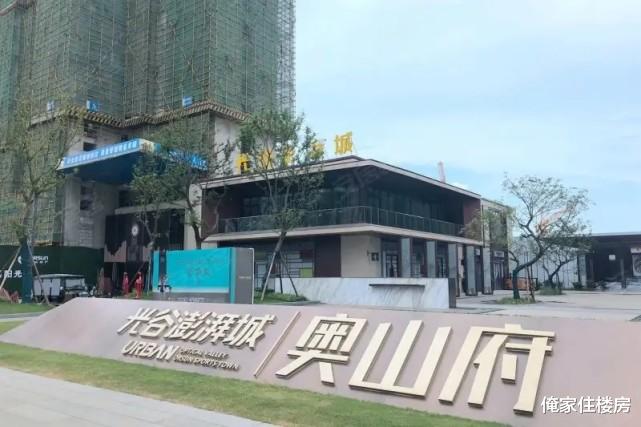 许家印老家河南：回购“恒大”1050套房！