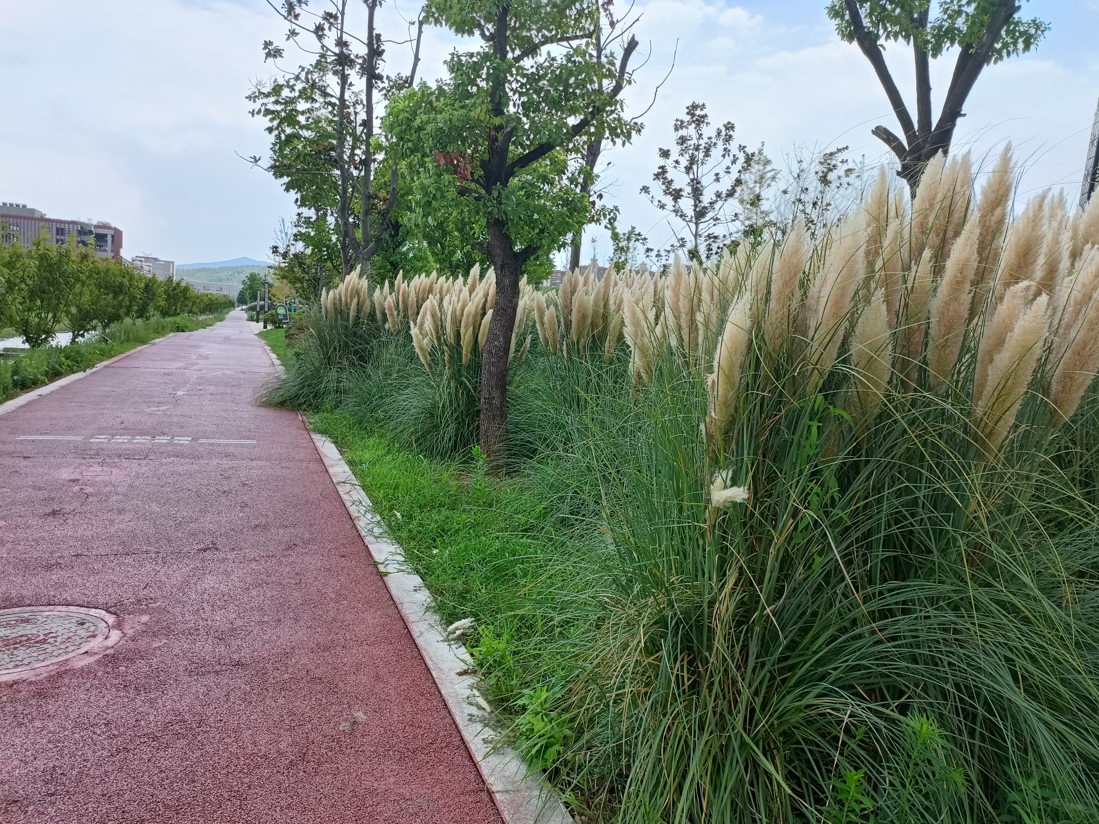 |3万人的乡镇,体育公园风景很美宛如景区,但却没有什么人