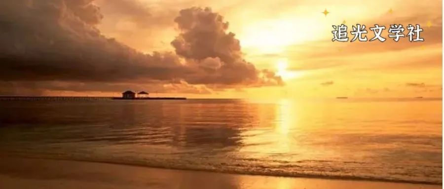 医生|专家建议年轻人996,我建议专家不要建议