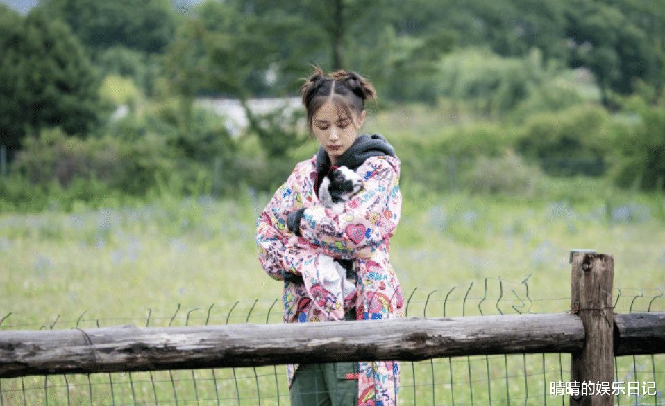 芒果台|芒果台太牛了!事实证明:《牧野家族》不用主持人,也能成大爆款