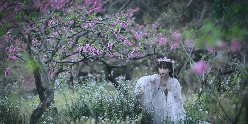 向往李子柒的田园生活,不妨栽下“三种花”,阳台也能变“仙境”