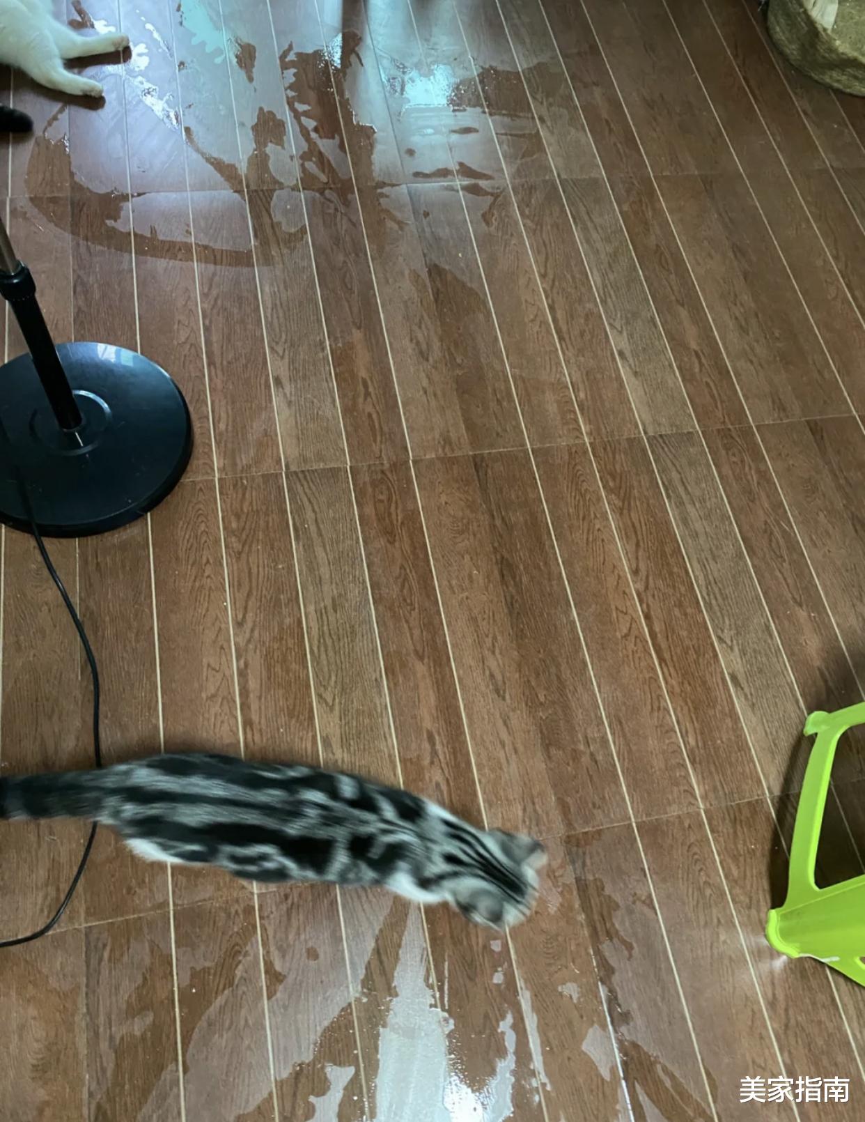 “跌下神坛”的5个家居产物,正在悄然淘汰,时代趋势谁也躲不过