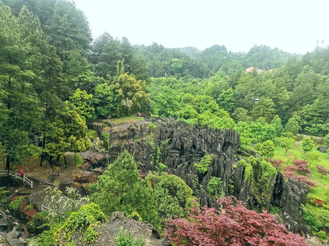黑山谷|重庆万盛旅游景点汇总，石林比黑山谷好玩