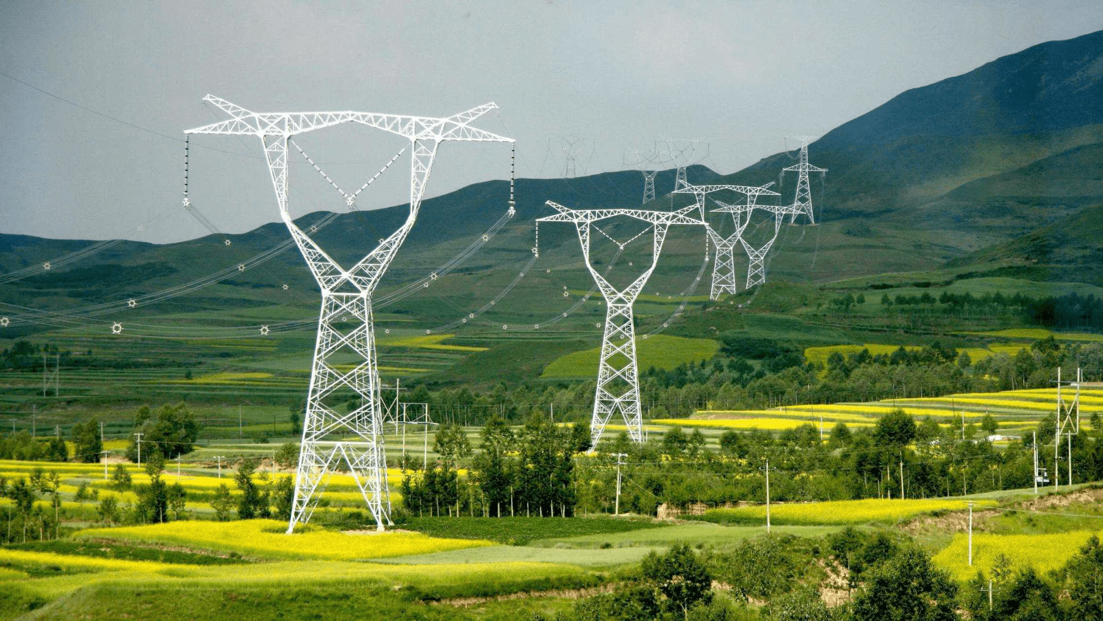 申论|国家电网的8所娘家学校，华北电力当仁不让，沈阳工程堪称黑马