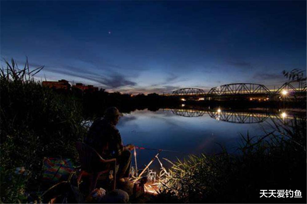 域名|夏季夜钓，这5种天气鱼口好，这3种钓位大鱼扎堆，想不爆护都难