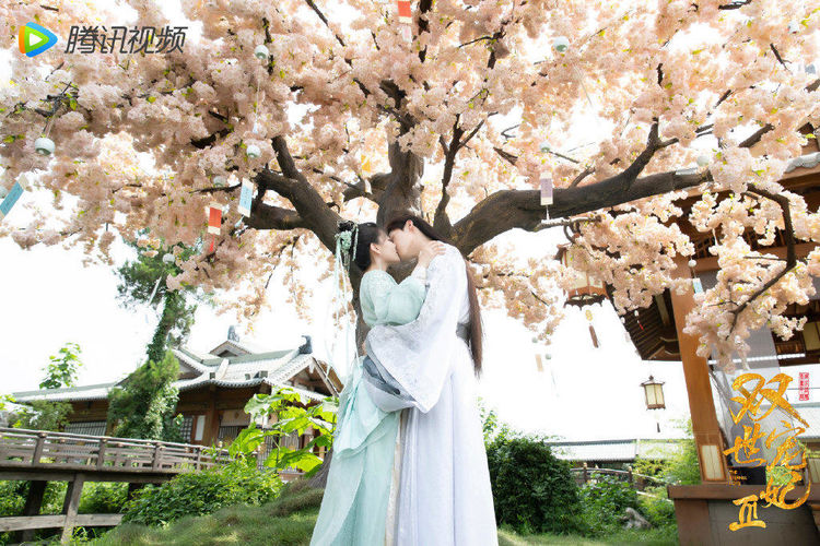 双世宠妃|第一季18小时破亿,第二季1小时破亿,这部网剧为啥让人上头?