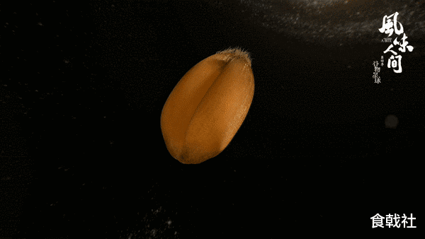 世界上到底有多少种饺子？