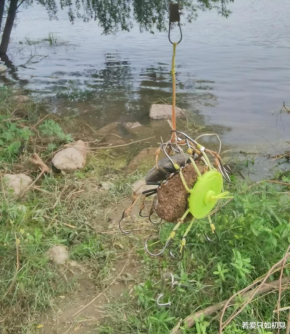 |非法垂钓被刑拘?和钓鱼关系不大,能忍到现在算脾气好