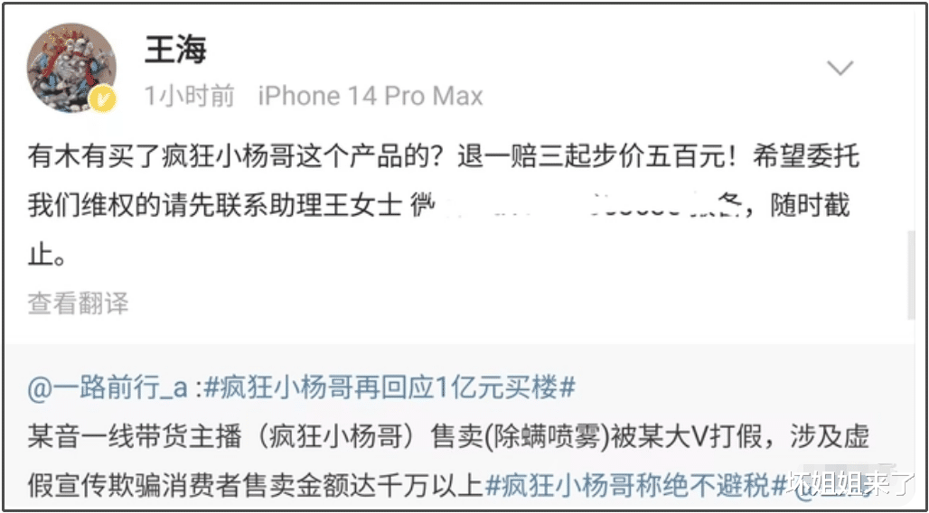 疯狂小杨哥遇上打假专业户…