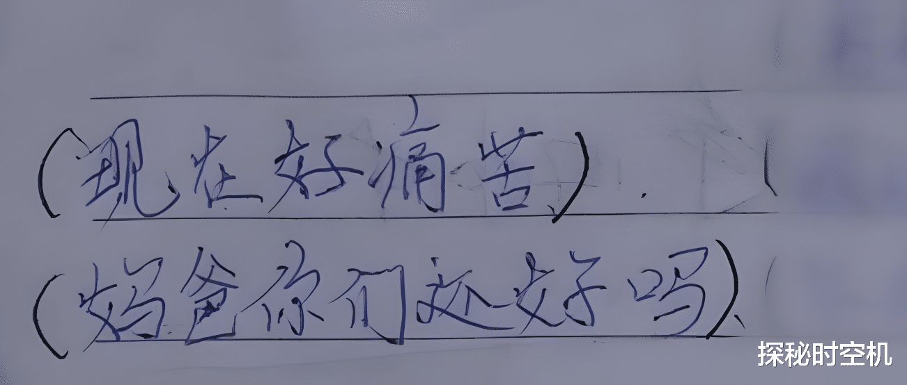 2013年,四川杀母拐子案:7岁男孩目睹妈妈被害,19年后寻凶成功