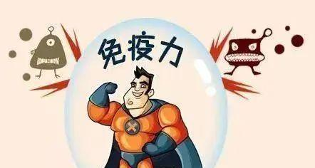 疾病|免疫力低下怎么办?日常养成4个好习惯,或有助提高免疫力