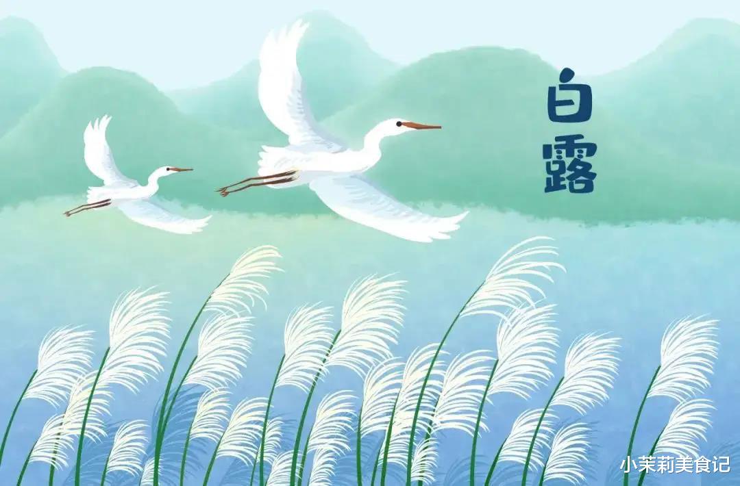 山药|明日白露,记得吃“蒸3白,煮3白”,忌3白,温阳益气,精神度秋