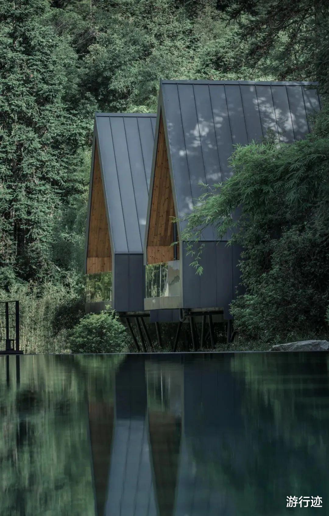 新安江|盛夏避暑来这里!媲美瑞士童话风的树屋秘境!