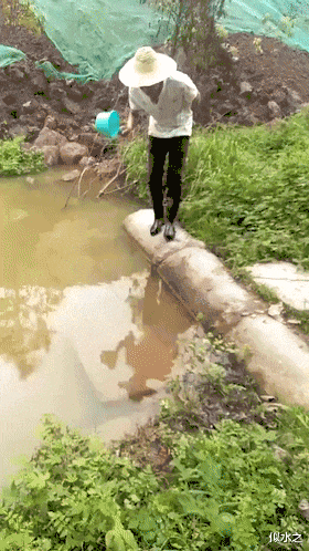 |钓鱼被咬了，不过钓到了一条招财龙鱼，不亏..