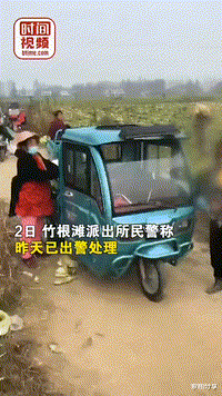 湖北潜江,某村村民光天化日组团抢劫,开车强抢几百亩白菜